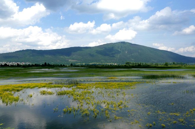 Polno Cerkniško jezero FOTO: Primož Hieng