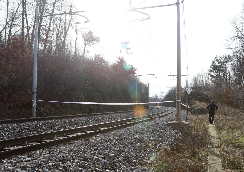 Fotografija: Nesreča se je zgodila na železniški progi med Postojno in Prestrankom pri starem prehodu Rakitnik. FOTO: Dejan Javornik