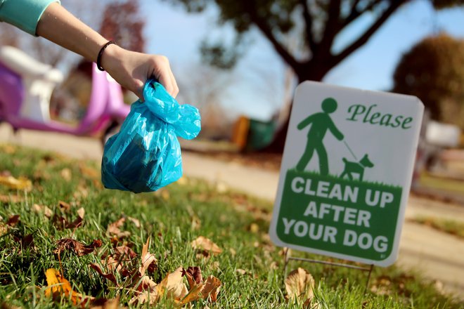 Za ljubljenčkom je treba počistiti! FOTO: Getty Images