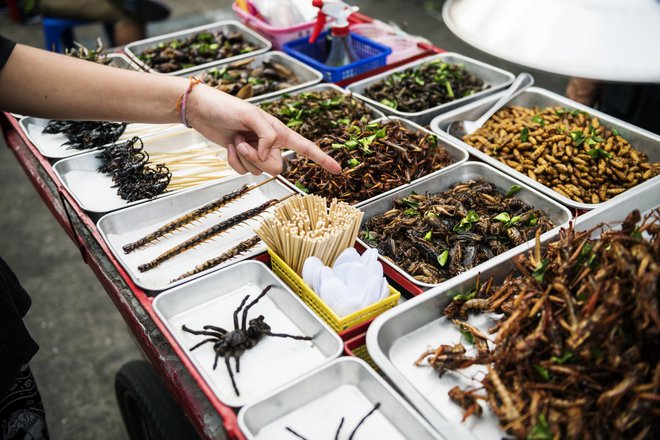 Na Tajskem lahko izbiramo med številnimi žuželkami. Bi si tudi vi privoščili praženega škorpijona? FOTO: Getty Images