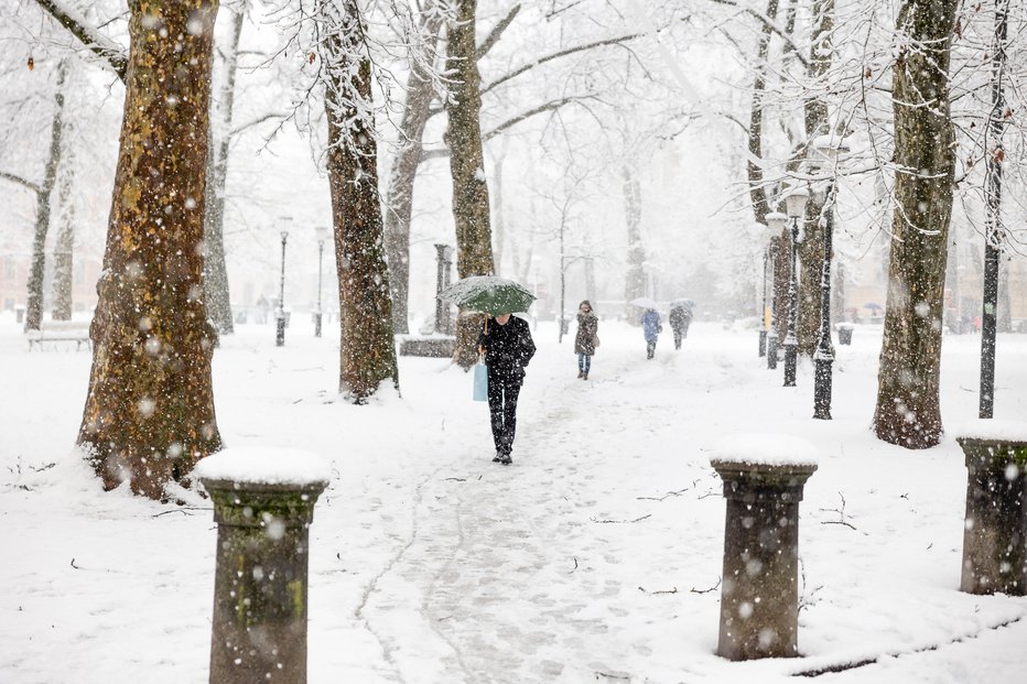 Fotografija: Minuli konec tedna je sneg pobelil dobršen del Slovenije. FOTO: Črt Piksi