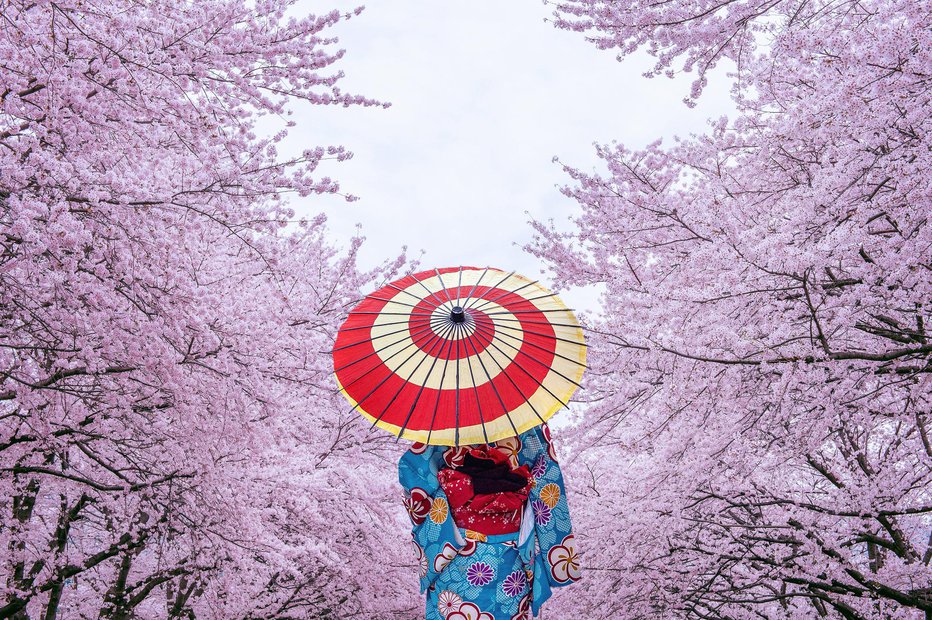 Fotografija: Komu se po japonskem horoskopu obeta srečno leto 2024? FOTO: Tawatchaiprakobkit, Getty Images