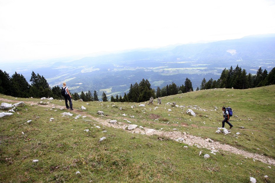 Fotografija: Na Dobrči je okoli 100 metrov pod kočo zaradi zastoja srca obležal planinec. FOTO: Pivk Mavric