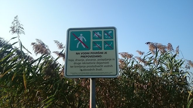Veste, kaj vse je prepovedano početi na Koseškem bajerju? FOTO: Krajinski Park Tivoli, Rožnik In Šišenski Hrib