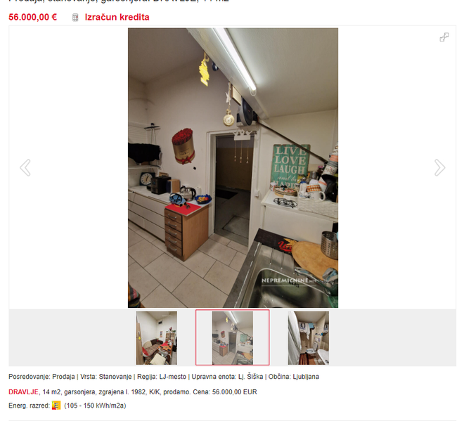 Stanovanje, ki se prodaja za 56.000 evrov. FOTO: Posnetek Zaslona Nepremičnine.net