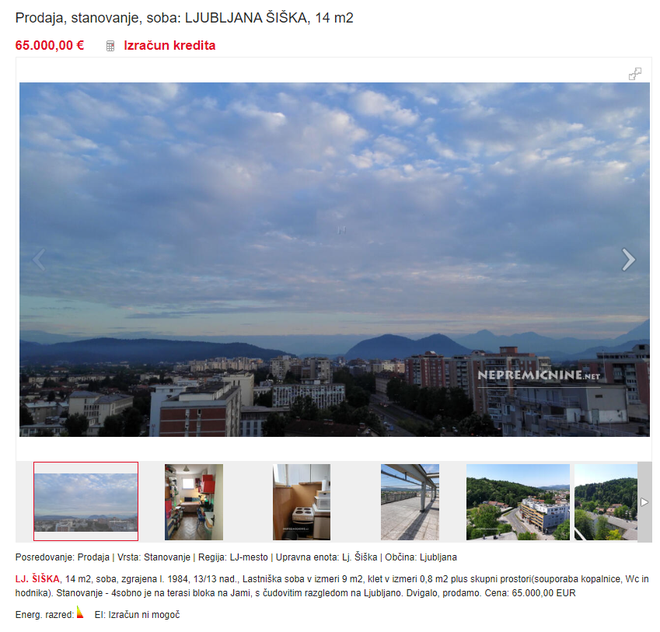 Stanovanje, ki se prodaja za 65.000 evrov. FOTO: Posnetek Zaslona Nepremičnine.net