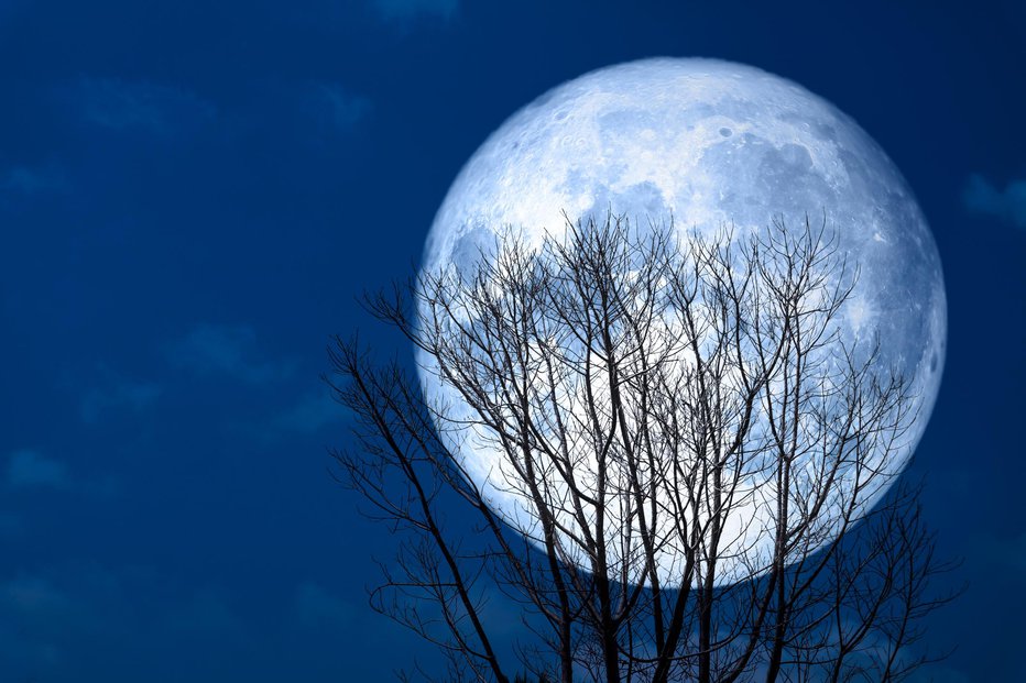 Fotografija: Snežna polna luna prinaša velike spremembe. FOTO: Chayanan, Getty Images