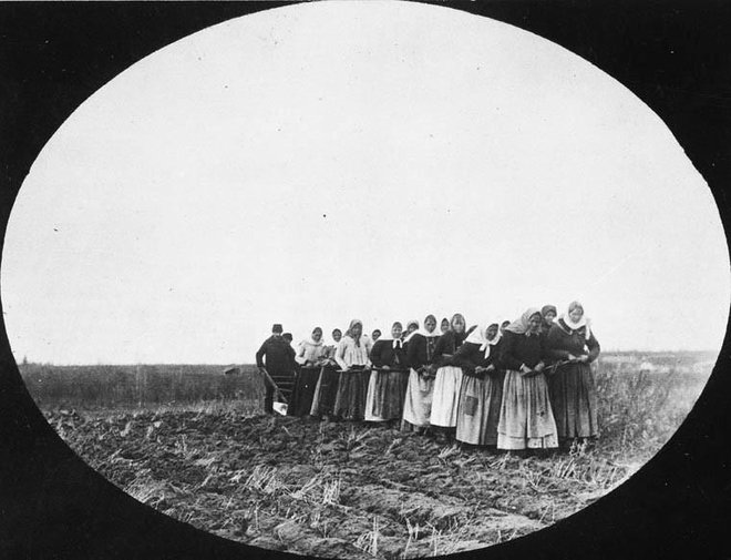 Žene duhoborcev med delom na polju v Kanadi FOTO: Kanadski zvezni arhiv/Wikimedia Commons – javna domena