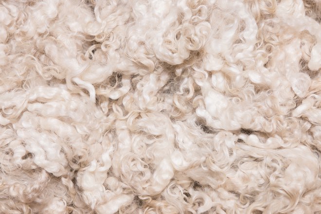 Kot gnojilo, dodatno ali osnovno, uporabimo neoprano ovčjo volno. FOTO: Kiravolkov/Getty Images