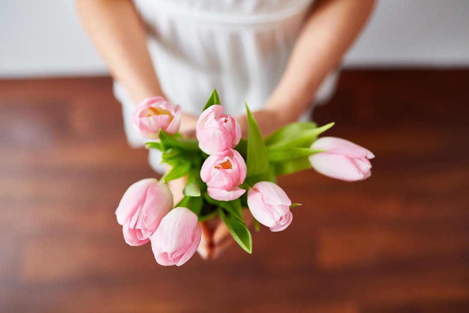 Fotografija: Naberemo ali kupimo takšne s še malo zaprtimi cvetovi. FOTO: Mediaphotos/Getty Images
