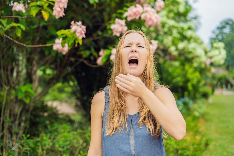 Fotografija: Pri nekaterih ljudeh se lahko alergijske reakcije na cvetni prah razvijejo v alergijsko astmo, kar lahko povzroči težave z dihanjem in vodi do resnih zdravstvenih zapletov. FOTO: Galitskaya Getty Images/istockphoto