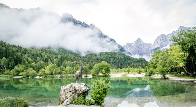 V Kranjski Gori oglasi ne bodo več zakrivali naravnih lepot. FOTO: Mikolajn/Getty Images
