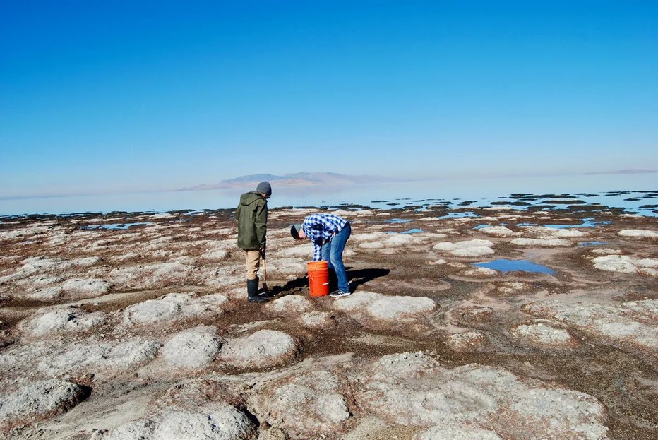 Fotografija: Jemanje vzorcev v Velikem slanem jezeru FOTO: Brian Maffly/Univerza v Utahu
