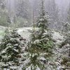 Oranžno vremensko opozorilo: Slovenske Konjice imajo sneg, v Kopru je 22 °C (FOTO)