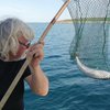 Slovenski ribič ujel najbolj strupeno ribo na svetu: en miligram lahko ubije človeka (FOTO)
